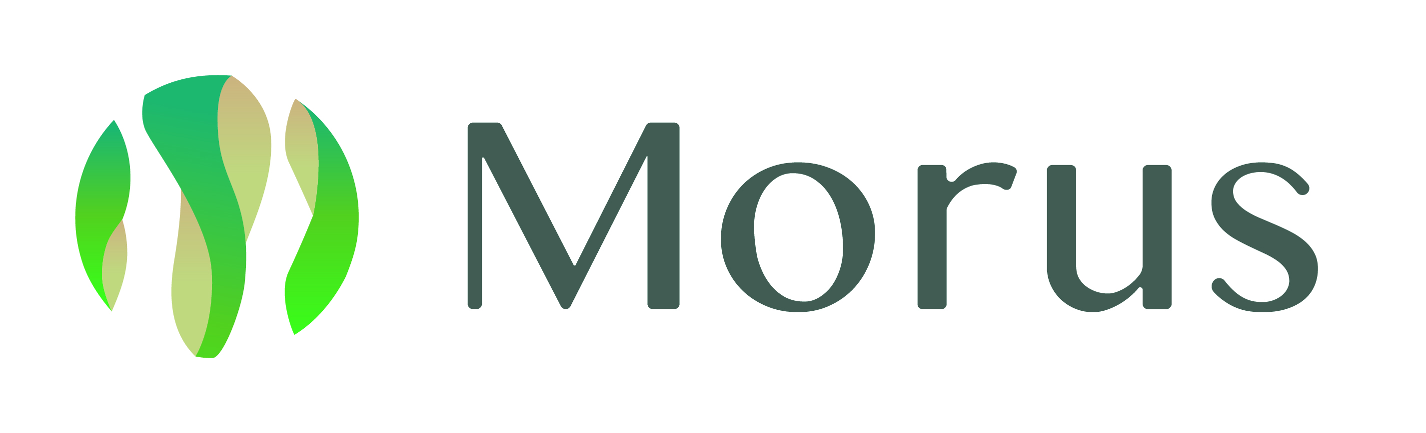 Morus